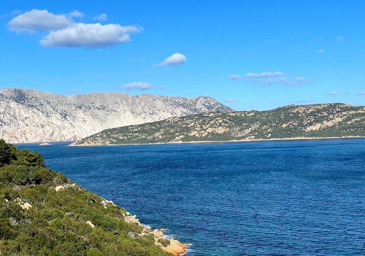 San Teodoro Punta Est Delizioso Monolocale Vista Mare Lejlighed Eksteriør billede