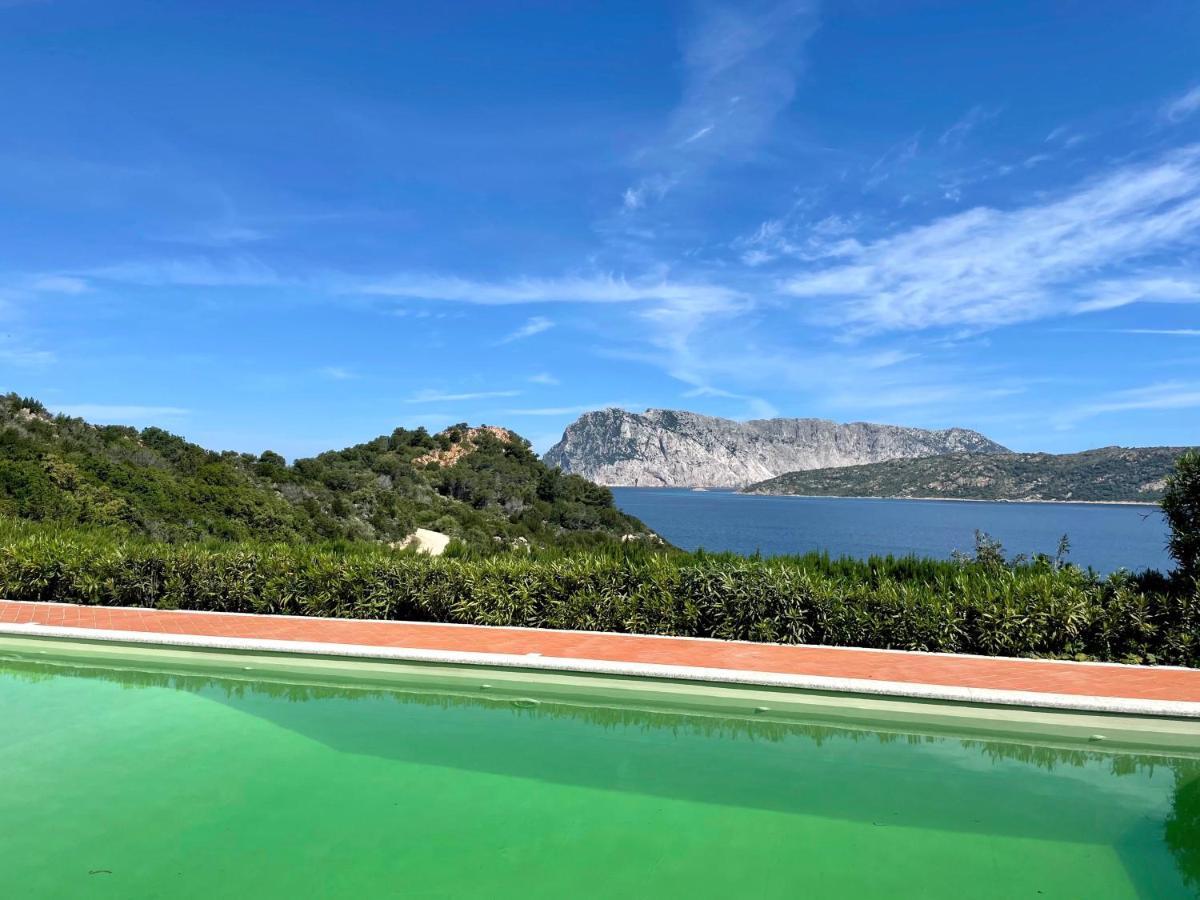 San Teodoro Punta Est Delizioso Monolocale Vista Mare Lejlighed Eksteriør billede