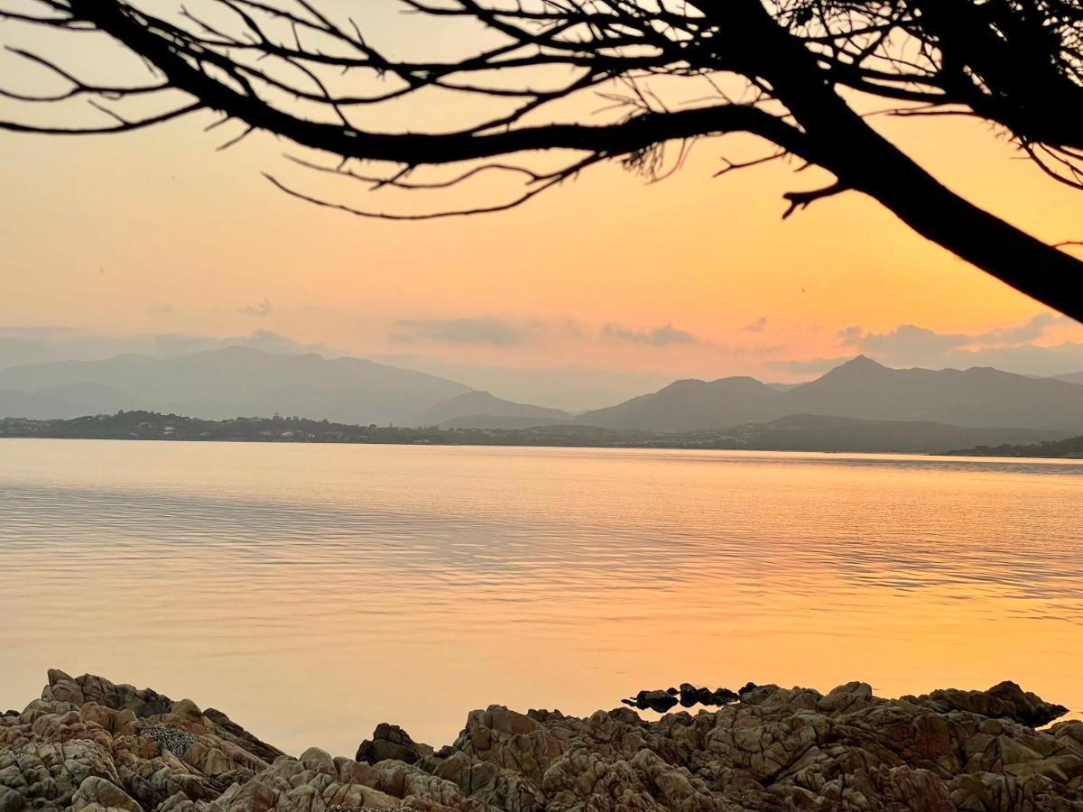 San Teodoro Punta Est Delizioso Monolocale Vista Mare Lejlighed Eksteriør billede