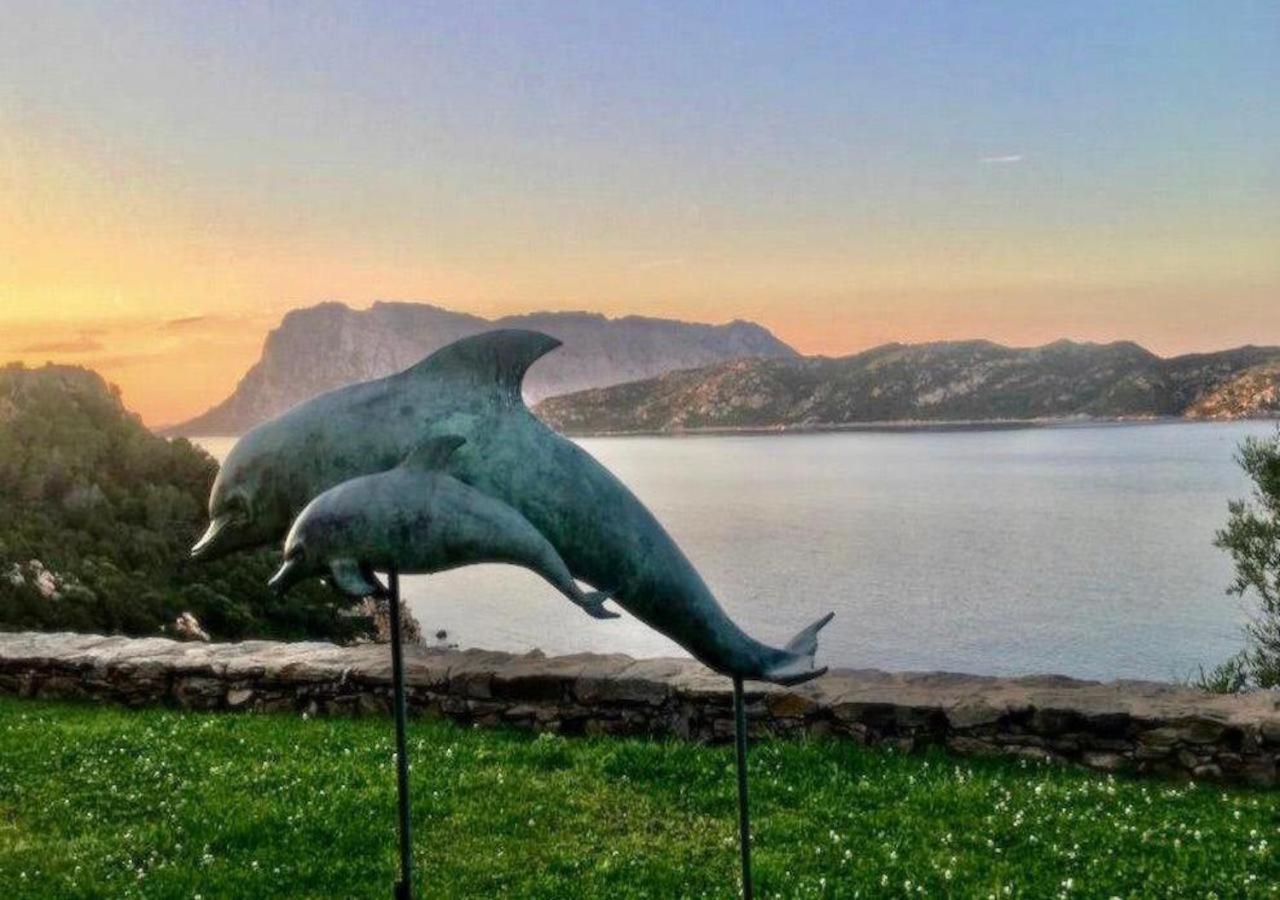 San Teodoro Punta Est Delizioso Monolocale Vista Mare Lejlighed Eksteriør billede