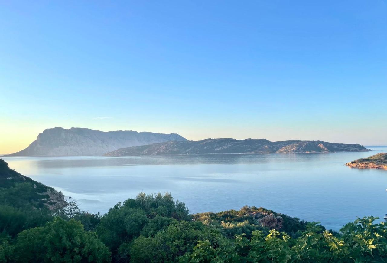 San Teodoro Punta Est Delizioso Monolocale Vista Mare Lejlighed Eksteriør billede
