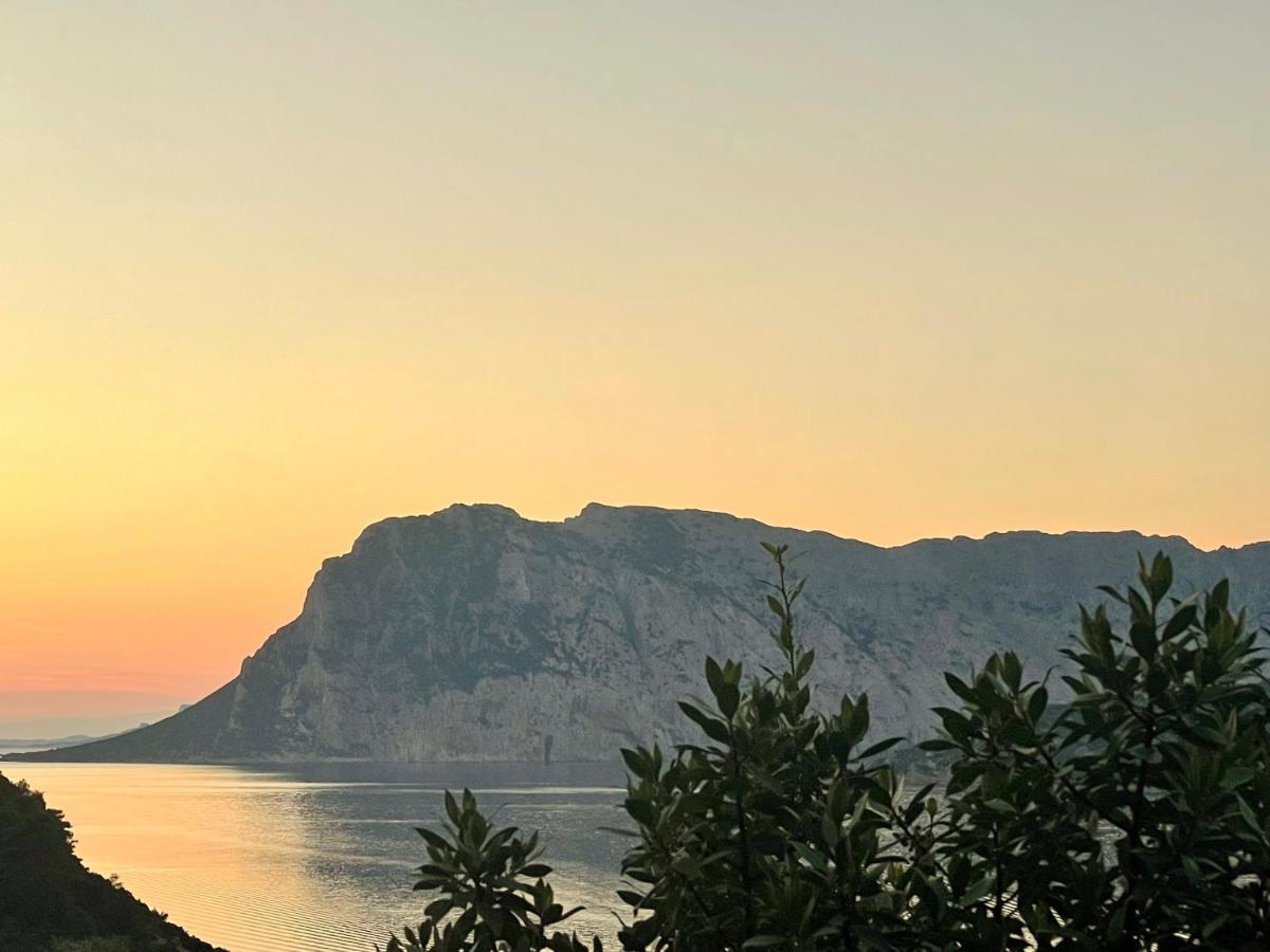 San Teodoro Punta Est Delizioso Monolocale Vista Mare Lejlighed Eksteriør billede