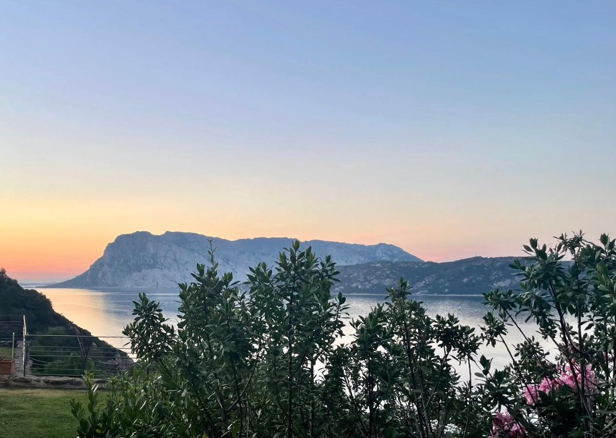 San Teodoro Punta Est Delizioso Monolocale Vista Mare Lejlighed Eksteriør billede