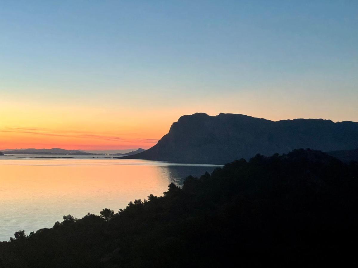 San Teodoro Punta Est Delizioso Monolocale Vista Mare Lejlighed Eksteriør billede