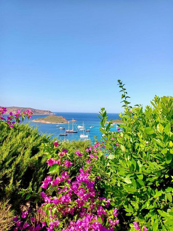 San Teodoro Punta Est Delizioso Monolocale Vista Mare Lejlighed Eksteriør billede