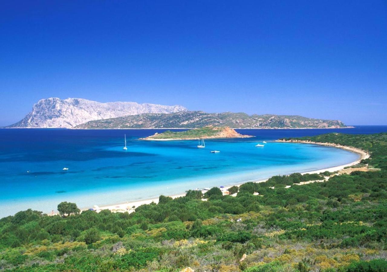 San Teodoro Punta Est Delizioso Monolocale Vista Mare Lejlighed Eksteriør billede