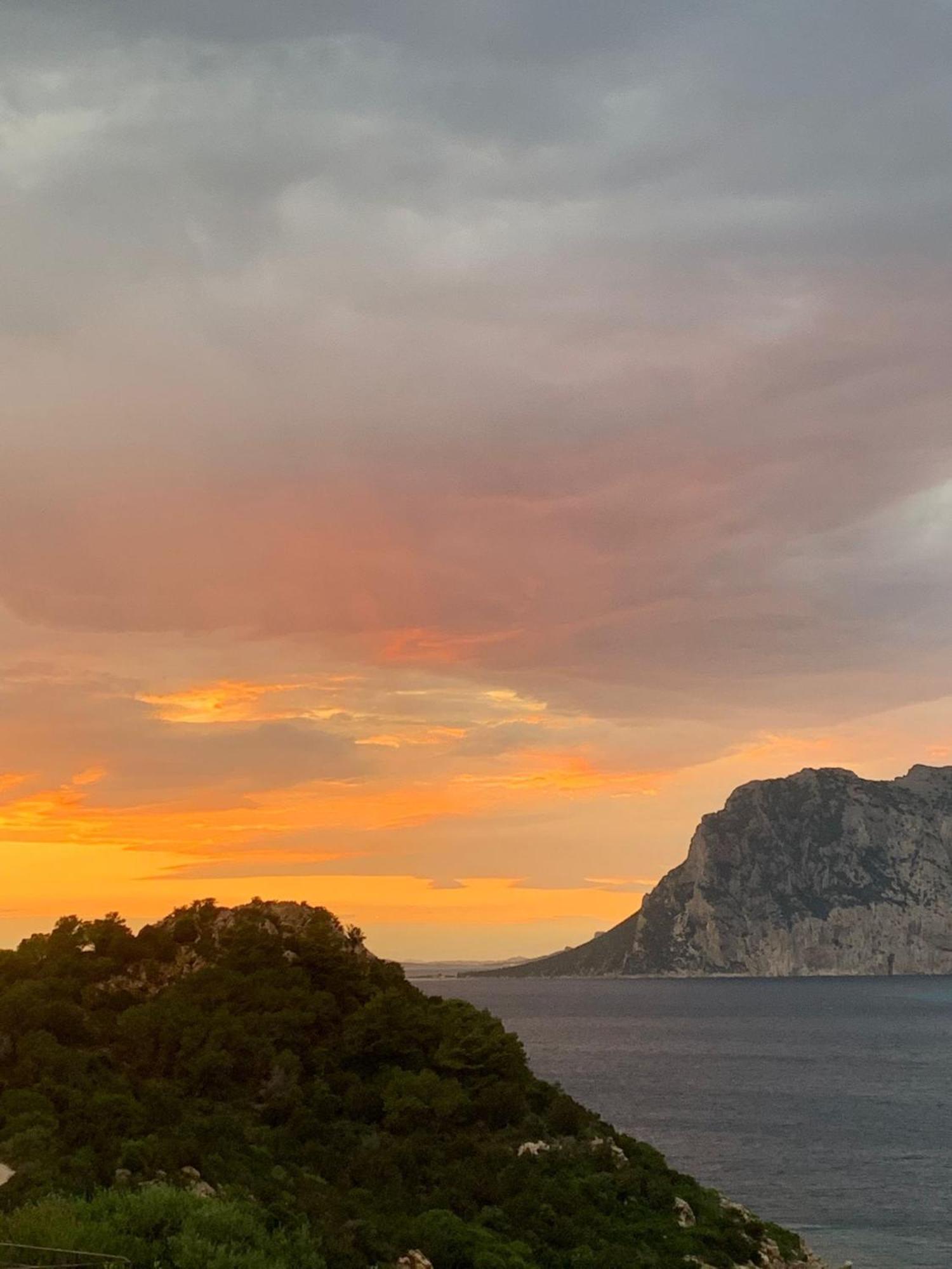 San Teodoro Punta Est Delizioso Monolocale Vista Mare Lejlighed Eksteriør billede